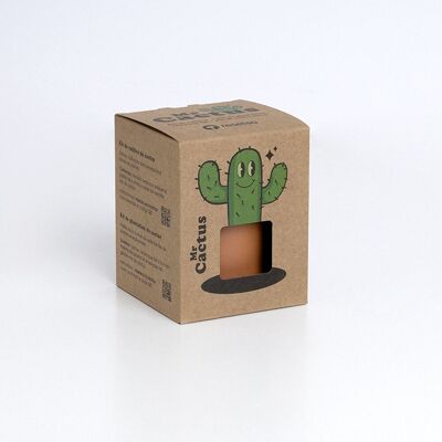 Der Kaktus: Herr Kaktus