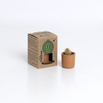 Le cactus : bébé cactus 3