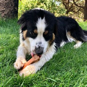 K2 Natural Dog Treats Fromage de l'île de Madère à mâcher au beurre de cacahuète Petit 40 g 2