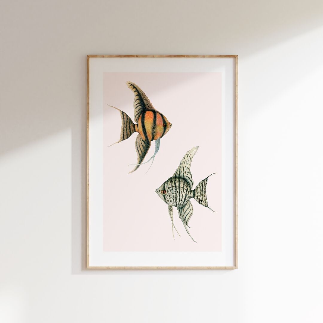 Stampa fine art in edizione limitata ALLA LUNA E RITORNO