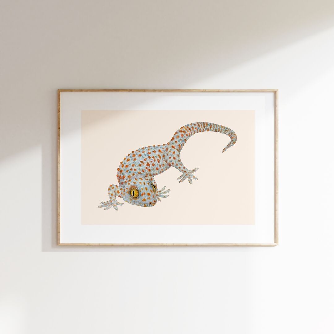 Stampa fine art TOKEH in edizione limitata