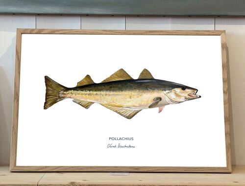 Affiche de Poisson Le Lieu Jaune peint à l'acrylique