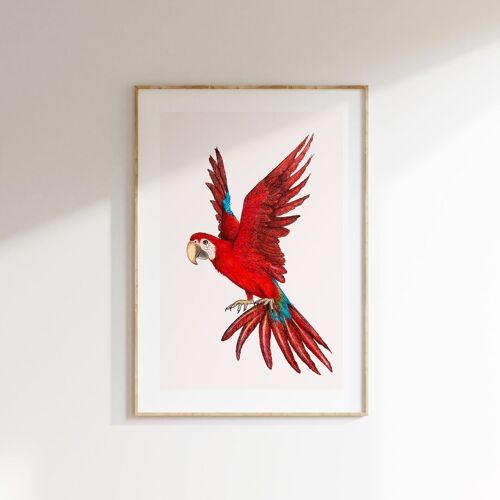 Limited edition Fine art print RED
