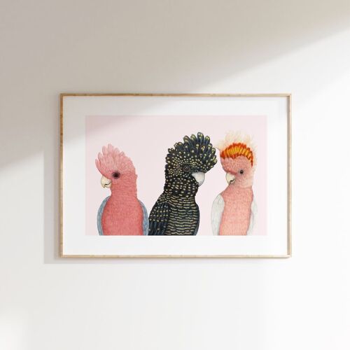 Limited edition Fine art print A PARROT PARTY