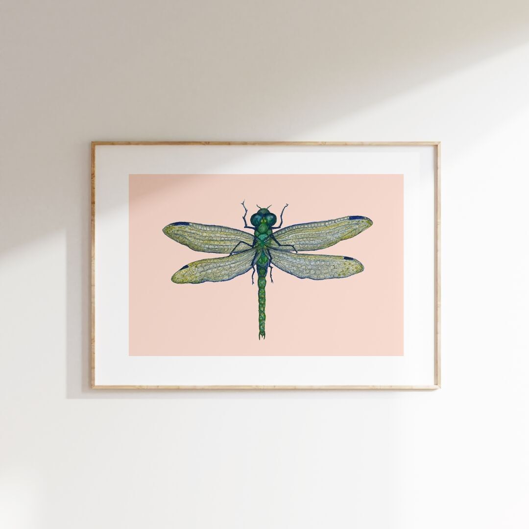 Stampa fine art in edizione limitata LIBELULA