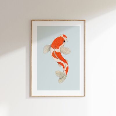 Limited edition Fine art print KOHAKU KOI