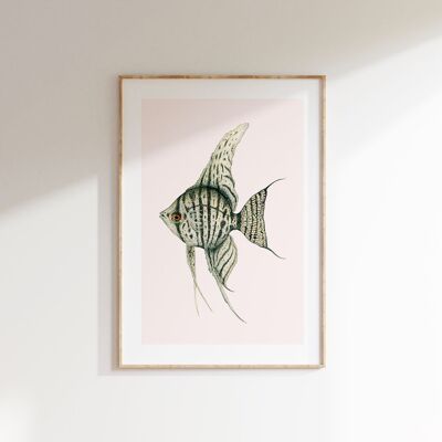 Limited edition Fine art print JUNO