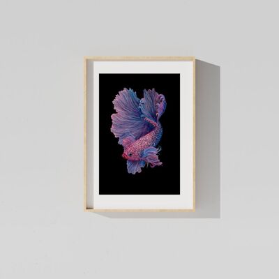 Limited edition Fine art print BETTA