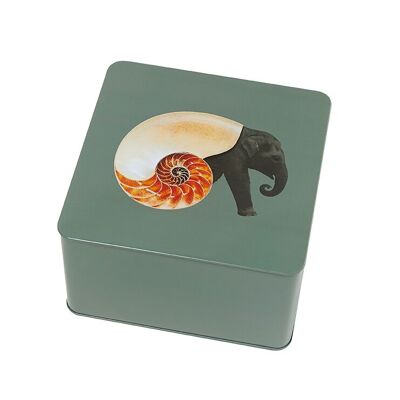 Scatola quadrata Shellephant - Collezione Curiosito