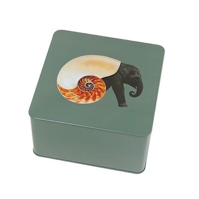 Quadratische Shellephant-Box – Curiosito-Kollektion