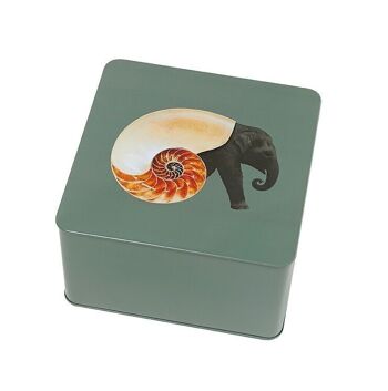 Boîte carrée Shellephant - Collection Curiosito 1