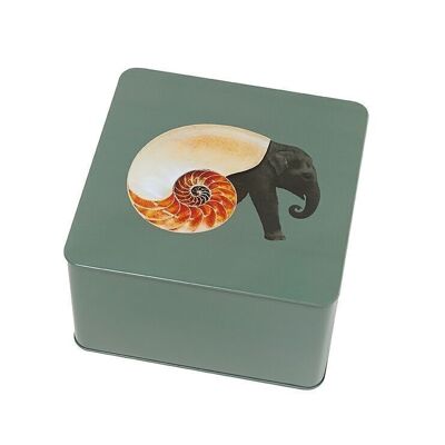 Quadratische Shellephant-Box – Curiosito-Kollektion