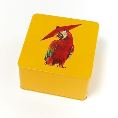 Araluie square box - Curiosito Collection