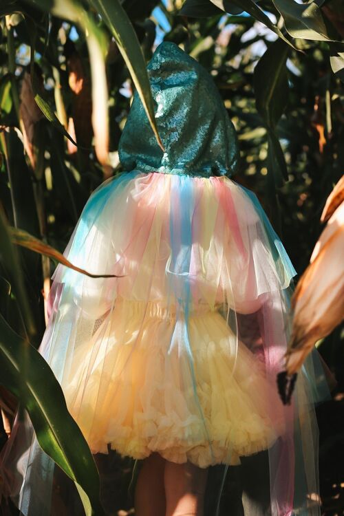 “Rainbow fairy" Magic Cape