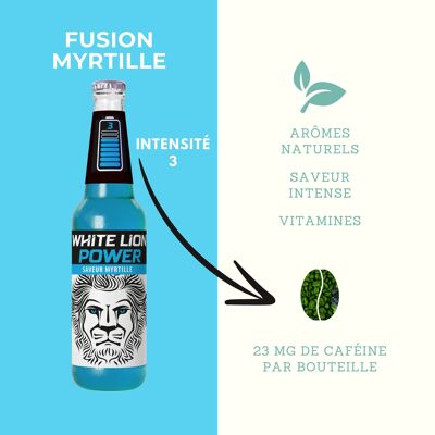 White Lion Power - Bevanda naturale - Gusto mirtillo