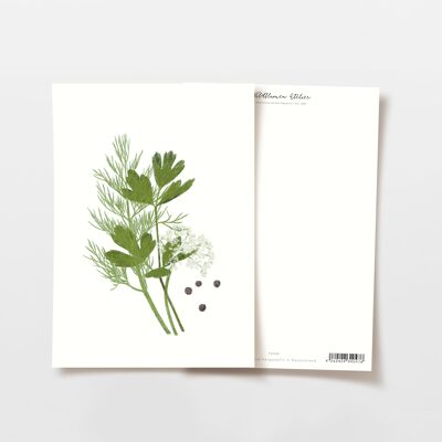 Postcard herbs with pepper, FSC certified