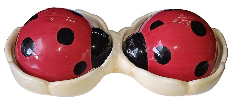 Keramikset „LOVE BUG“ für Salz und Pfeffer. Abmessungen: 18x9x5cm MMM-808
