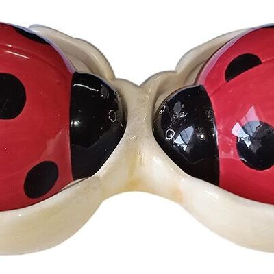 Ceramic set "LOVE BUG" for salt and pepper. Dimension: 18x9x5cm MMM-808