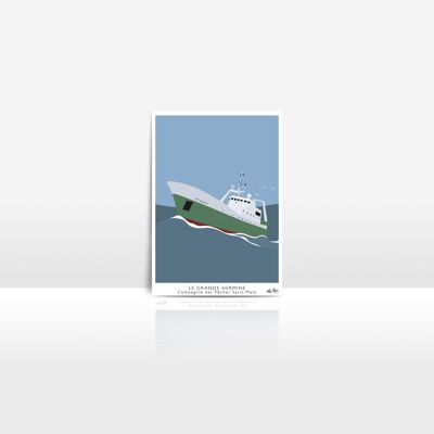 Großer Hermelin – Set mit 10 Postkarten