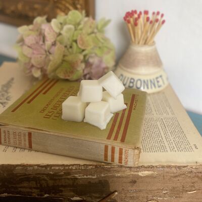 Giverny - Scented Wax Melts