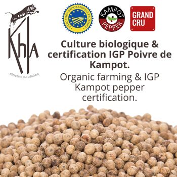 Poivre blanc de Kampot ECO IGP - Premium - en grains - Poche 70g 3