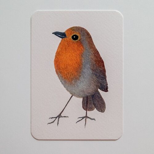 Postcard ROBIN