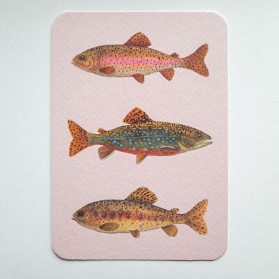 Postkarte FISH FRIDAY rosa