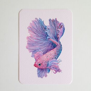 Carte postale BETTA rose 1