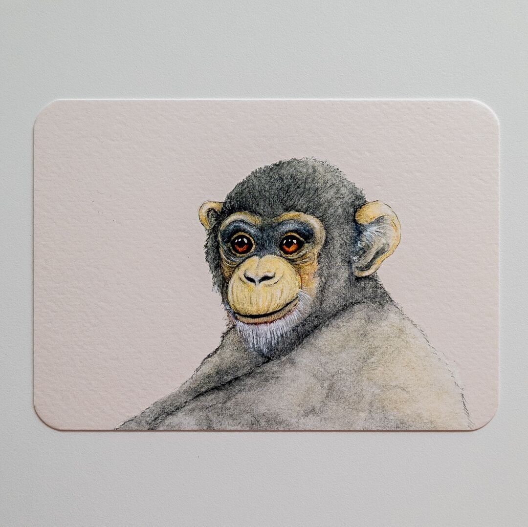 Postkarte KEIN AFFENGESCHÄFT