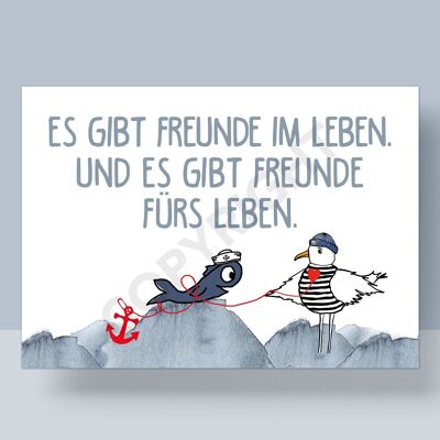 POSTKARTE -  FREUNDE FÜRS LEBEN