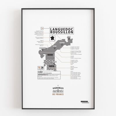 Languedoc-Roussillon vineyard poster