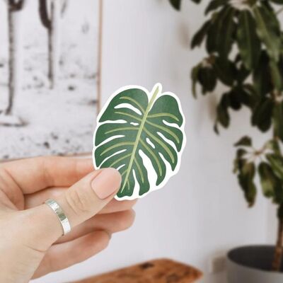 Sticker Monstera - Houseplant Sticker Kiss Cut