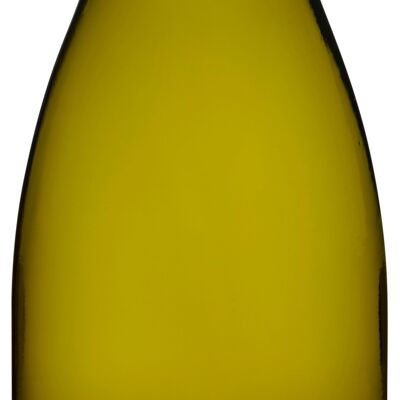 Mercurey "Vignes de Maillonge" - Chardonnay - Weißwein - 75cl (Burgund)