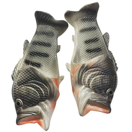 Fishy Feet - Silver Trouts, Novelty Gifts, Summer Gifts, Beach Shoes