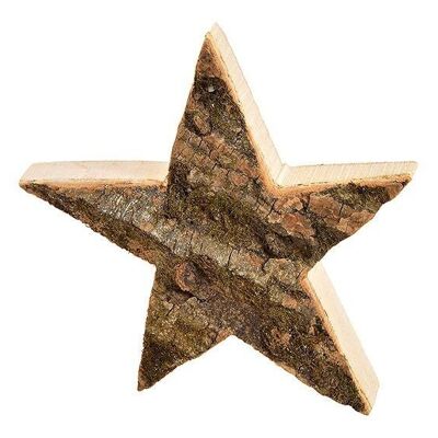 Corteza de madera estrella de madera natural (An / Al / Pr) 20x20x4cm