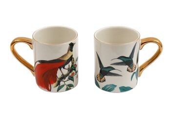 Tasses oiseaux de paradis 1