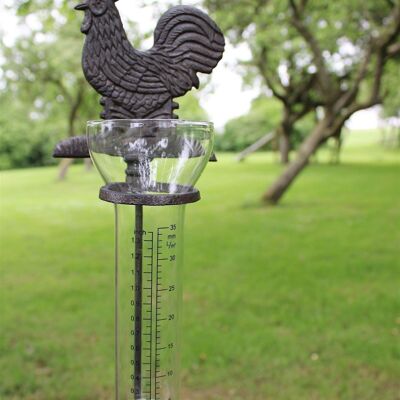 Pluviomètre de jardin en fonte et verre, poulet