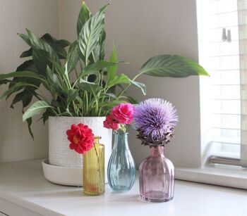 Ensemble de trois vases en verre coloré 2