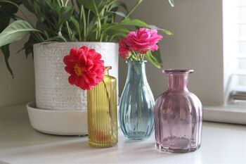 Ensemble de trois vases en verre coloré 4