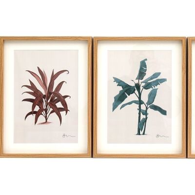 Tropical Palm Wall Art in Frames