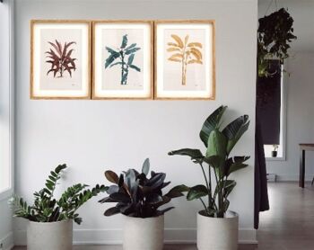 Art mural de palmiers tropicaux dans des cadres 3