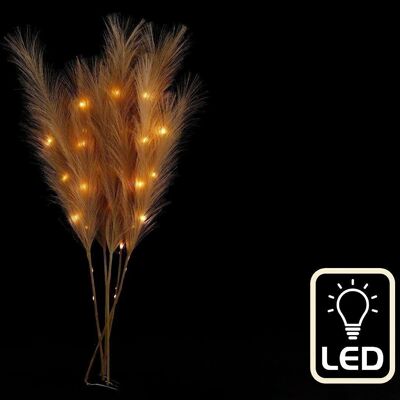 Set of Five Brown Led Pampas Grass Stems
