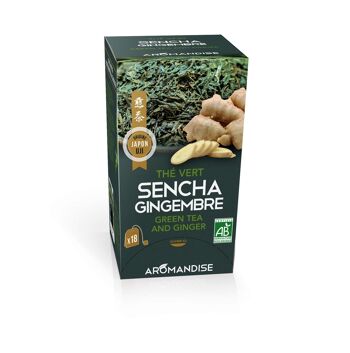 Thé vert Sencha et Gingembre en infusettes 1