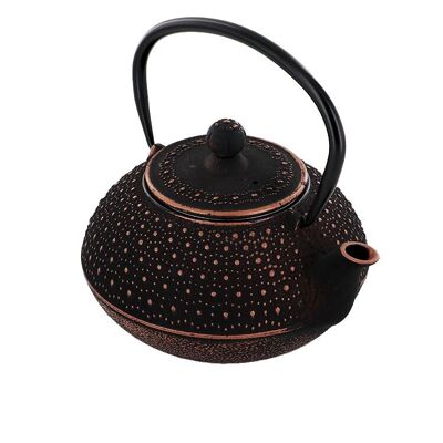 Sui cast iron teapot