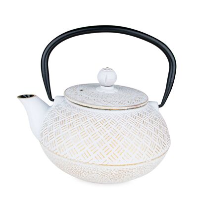 Tamayuki cast iron teapot