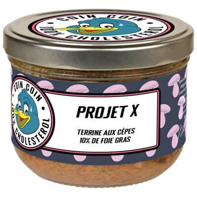 PROJET X. Terrineaux cèpes 10% foie gras