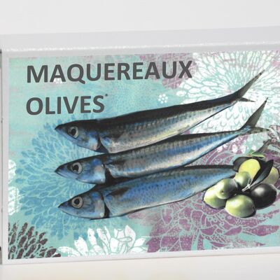 COLLECTOR  maquereaux olive*