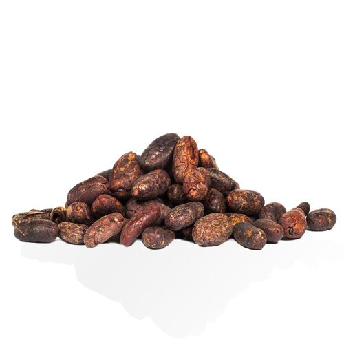 Fave di Cacao dell'Ucayali (Per˘) BIO