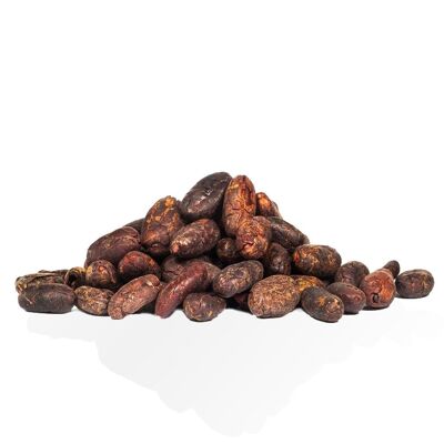 Fèves de cacao Ucayali (Per˘) biologiques