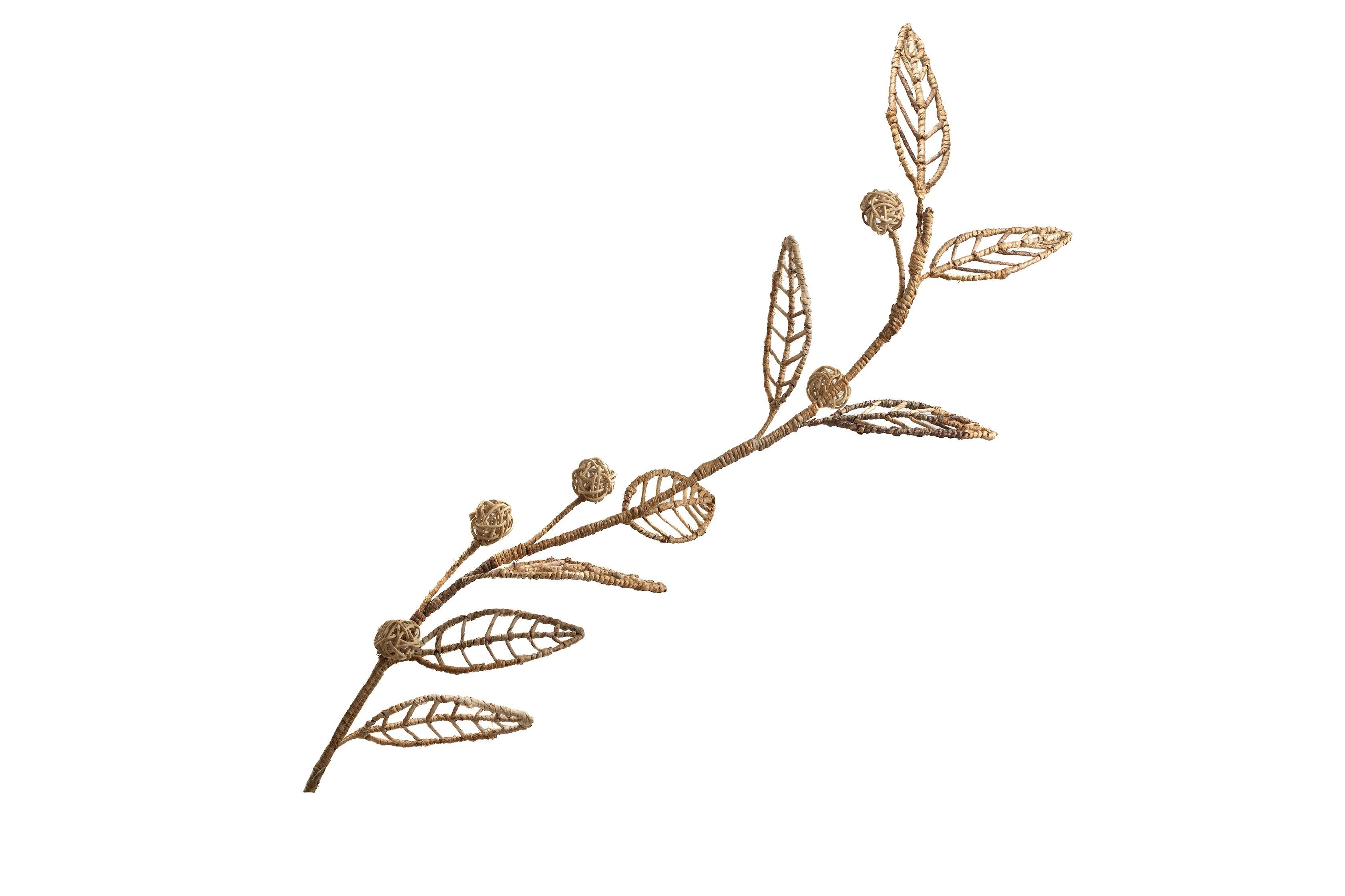 ZWEIGBLÄTTER BANKBANANE HM472433